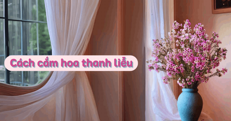 Một người đang chọn những bông hoa đồng tiền tươi tắn tại cửa hàng Hoa Tươi Thanh Thảo.